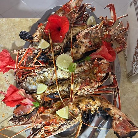 Chez Guoumi Villa Oualidia Ngoại thất bức ảnh